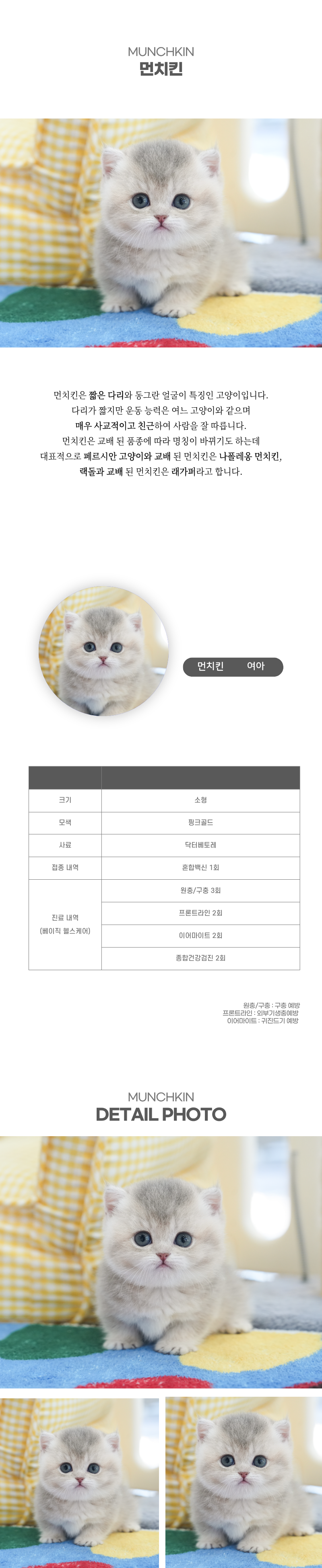 먼치킨_상세이미지_2